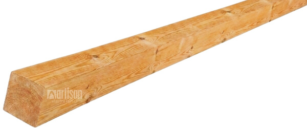 Dřeviny pocházejí z chladných oblastí Asie